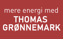 Foredragsholder Thomas Grønnemark